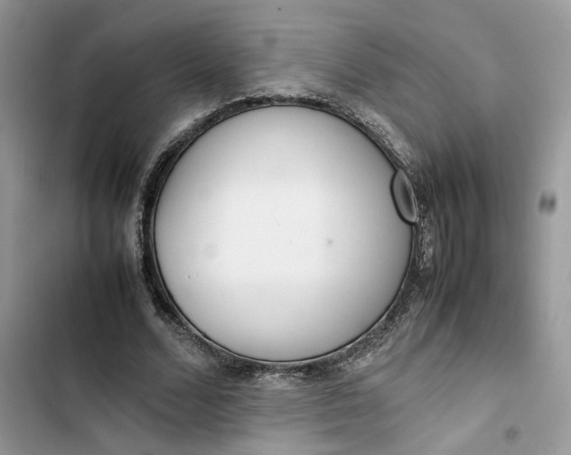 X0000103410680200810031246