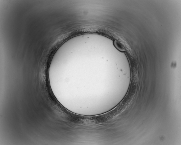 X0000103410681200810031246