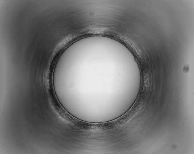 X0000103410682200810031246