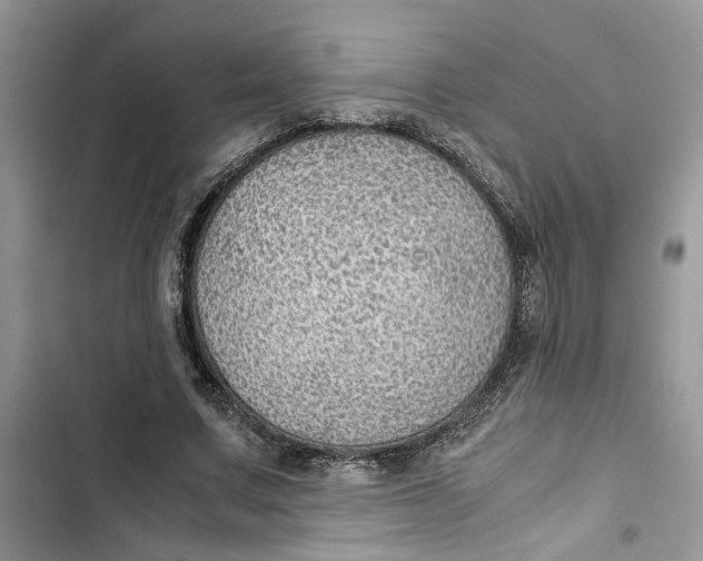 X0000103410683200810031246