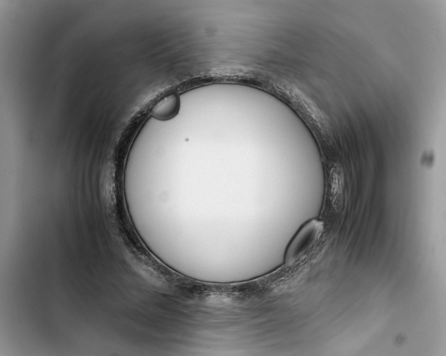 X0000103410684200810031246