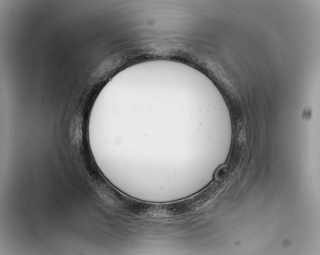 X0000103410685200810031246