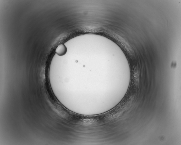 X0000103410686200810031246