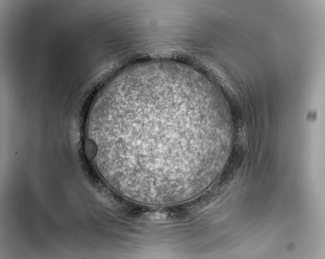 X0000103410687200810031246