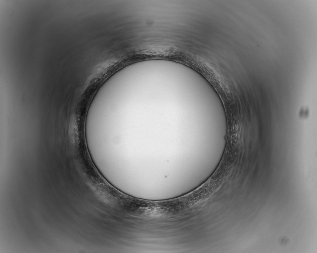 X0000103410688200810031246