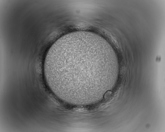 X0000103410689200810031246