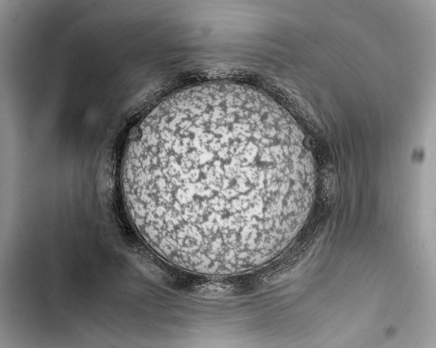 X0000103410691200810031246