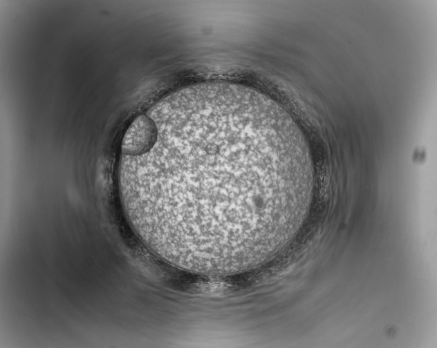 X0000103410695200810031246