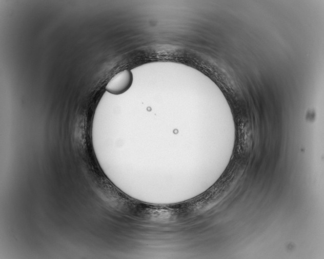 X0000103410698200810031246