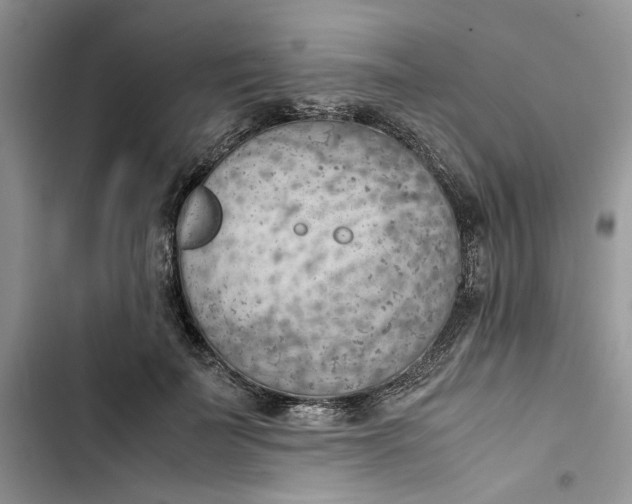 X0000103410699200810031246