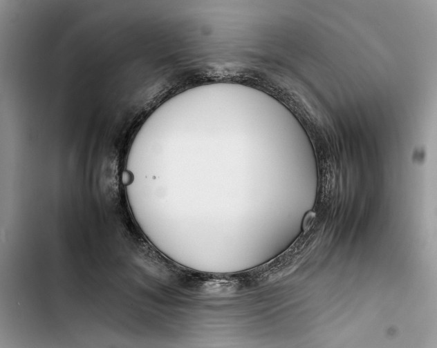 X0000103410700200810031246