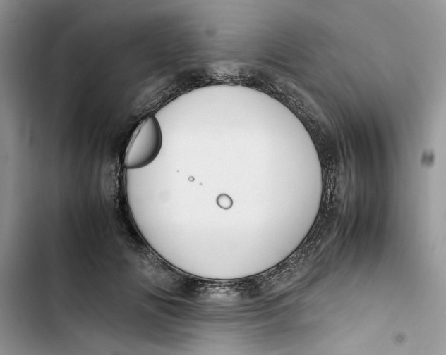 X0000103410702200810031246