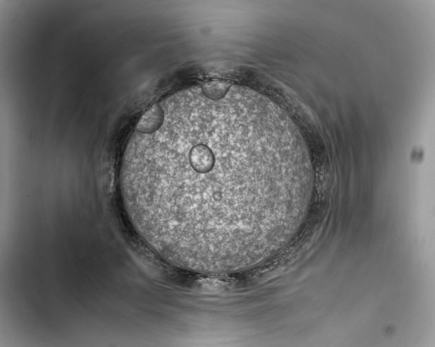 X0000103410703200810031246