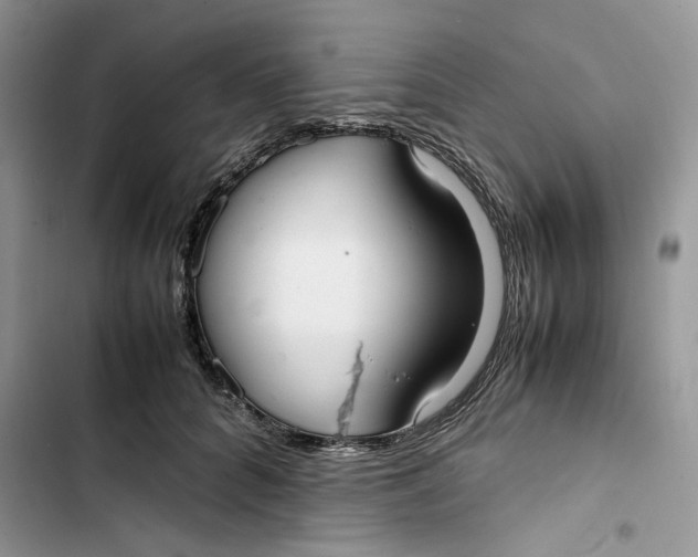 X0000103410704200810031246