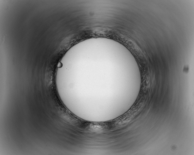 X0000103410706200810031246