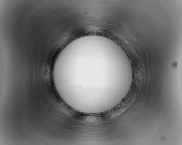 X0000103410708200810031246