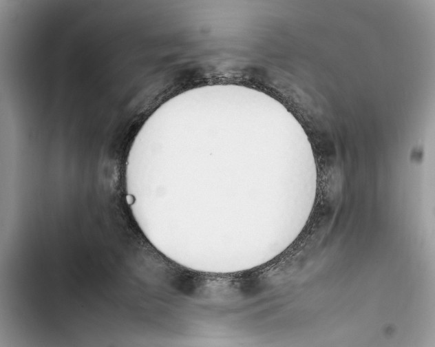 X0000103410709200810031246