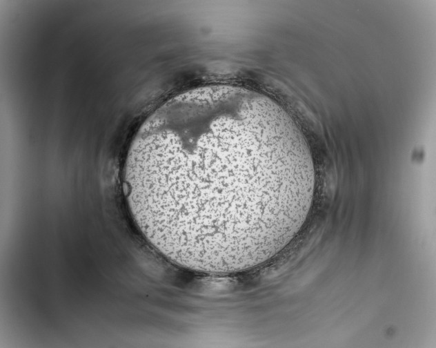 X0000103410711200810031246