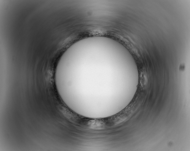 X0000103410714200810031246