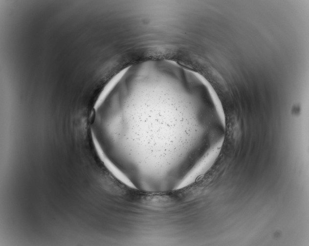 X0000103410716200810031246