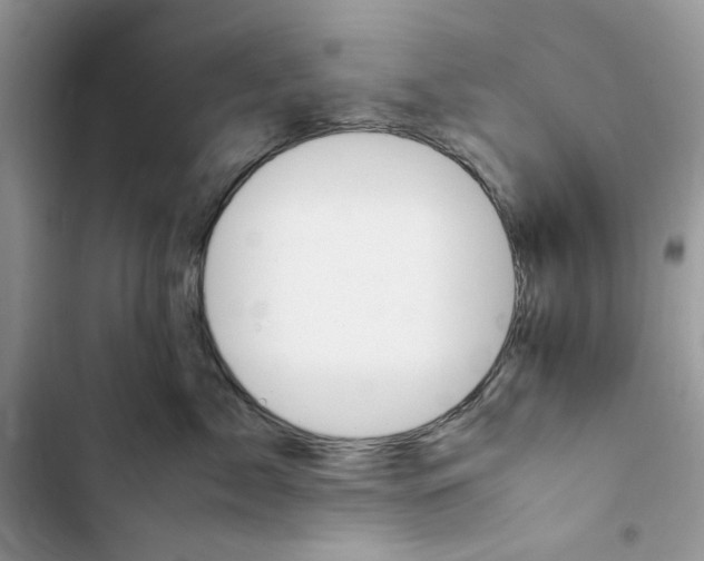 X0000103410717200810031246