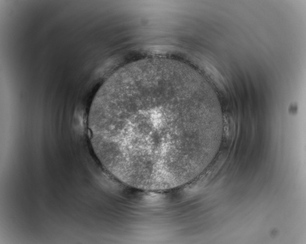 X0000103410718200810031246