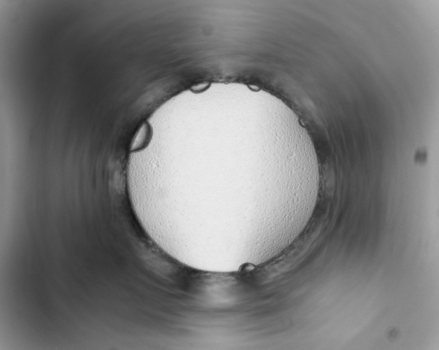 X0000103410719200810031246