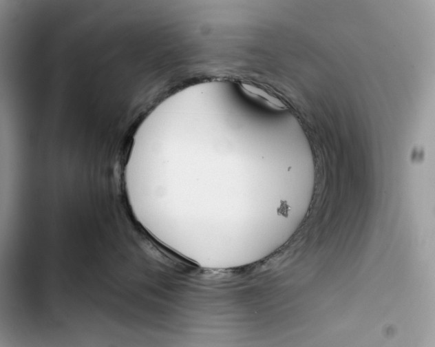 X0000103410720200810031246