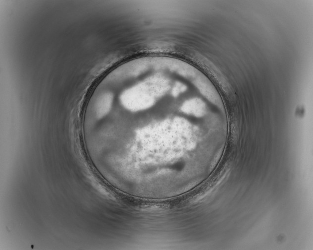 X0000103410721200810031245