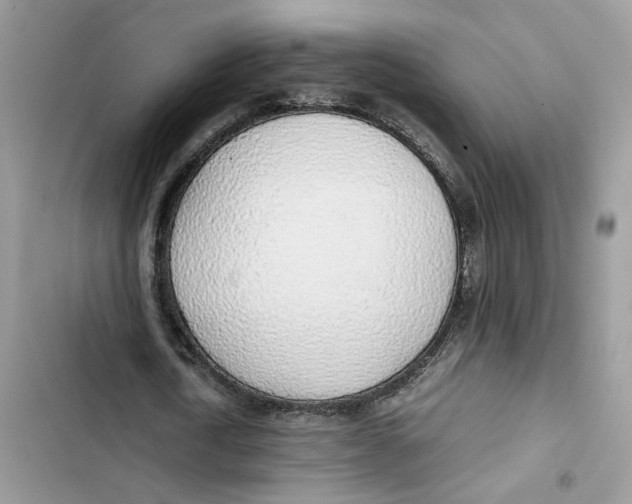 X0000103410722200810031245