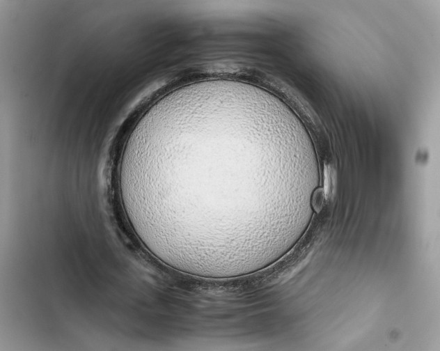 X0000103410723200810031245