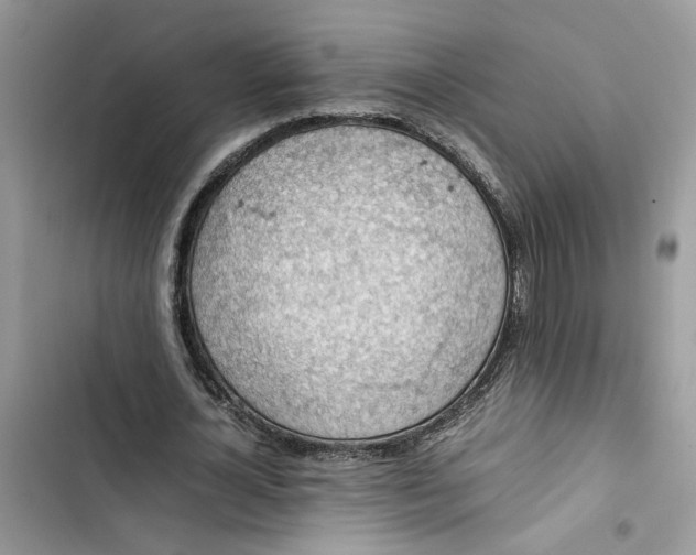 X0000103410724200810031245