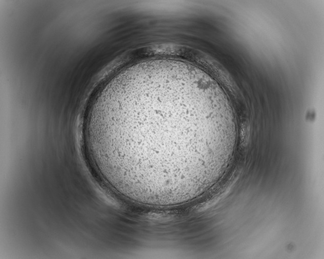 X0000103410725200810031245