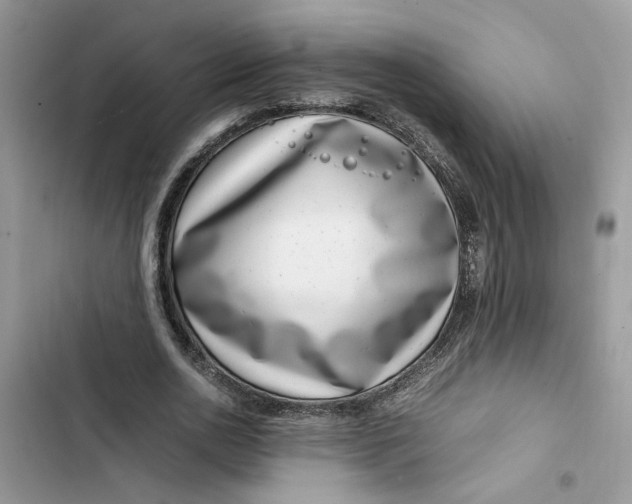 X0000103410726200810031245