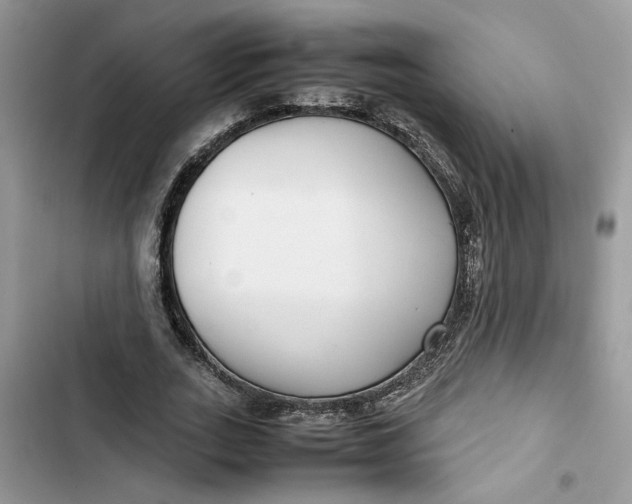 X0000103410727200810031245