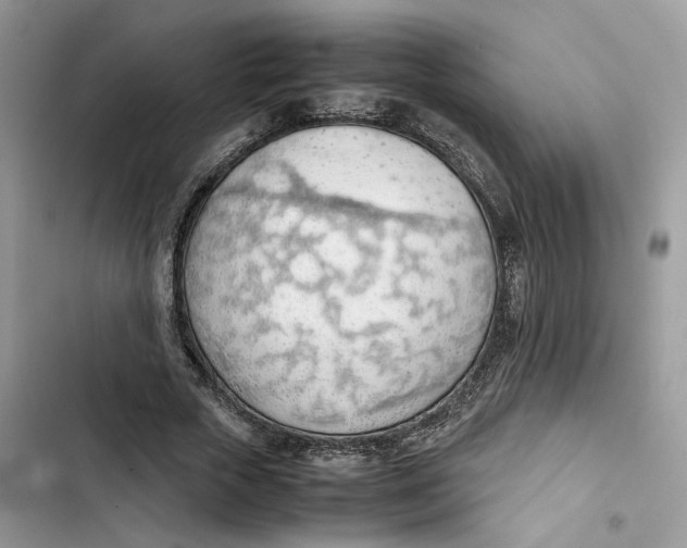 X0000103410729200810031245