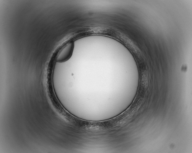 X0000103410730200810031245