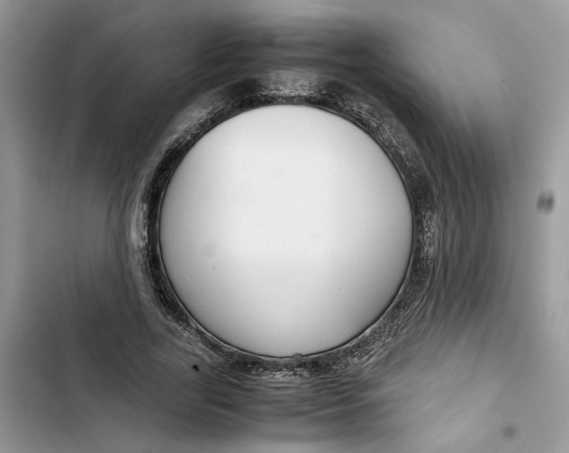 X0000103410731200810031245