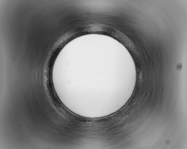 X0000103410732200810031245