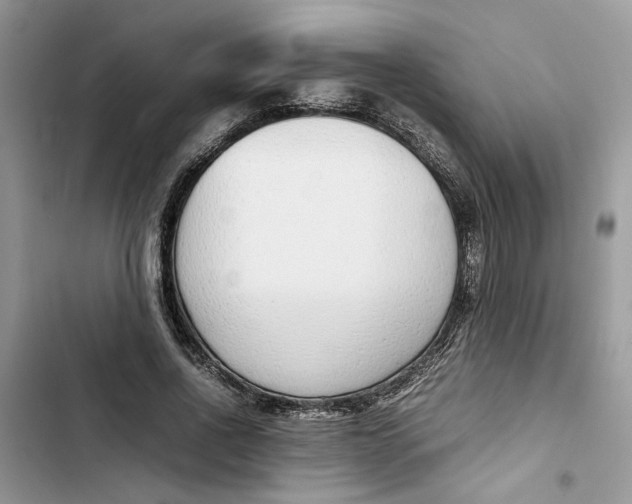 X0000103410734200810031245