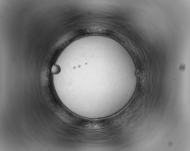 X0000103410735200810031245