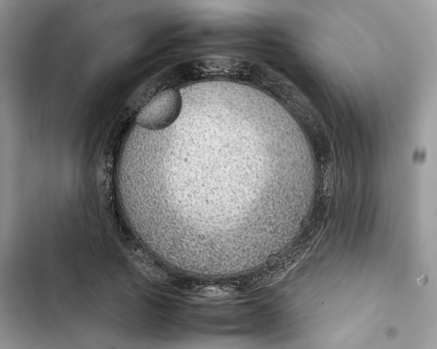 X0000103410737200810031245