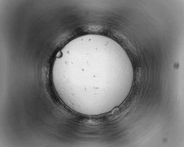 X0000103410739200810031245