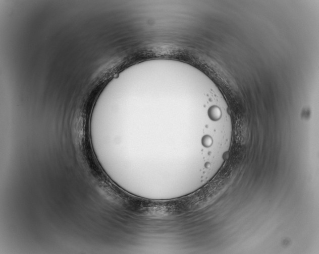 X0000103410740200810031245