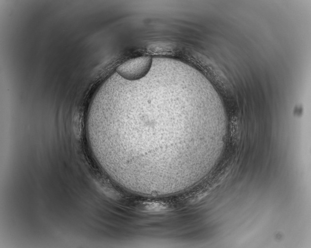 X0000103410741200810031245