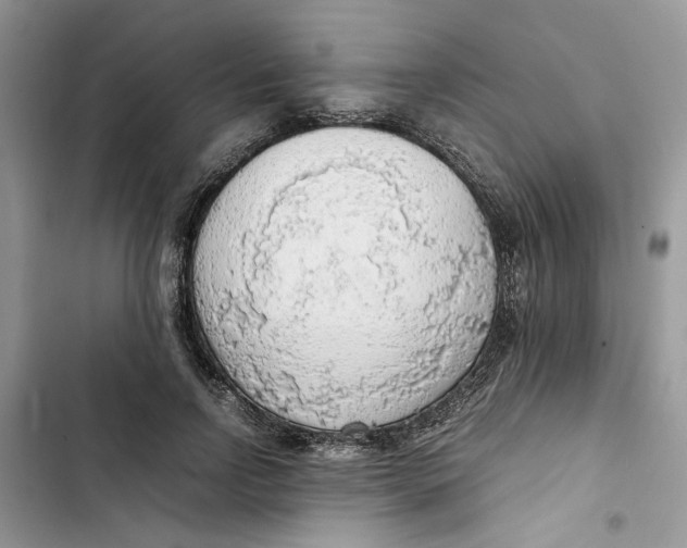 X0000103410742200810031245