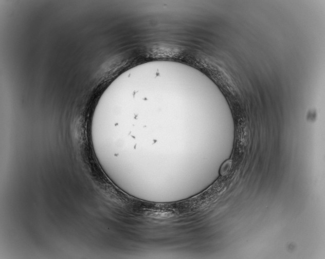 X0000103410743200810031245