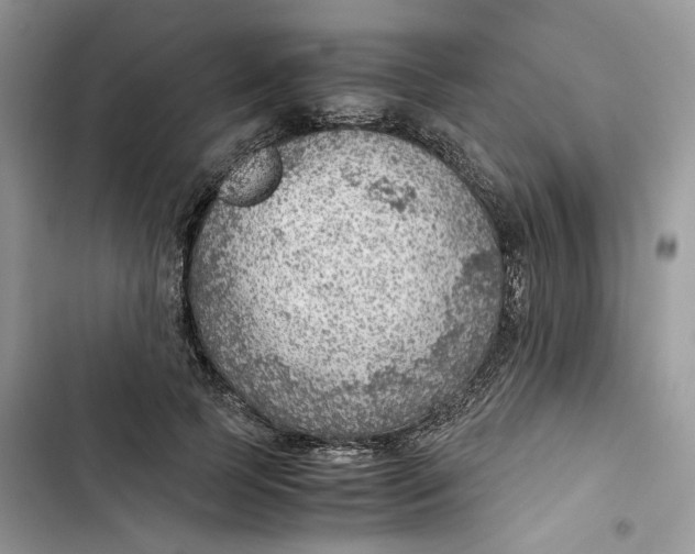 X0000103410745200810031245