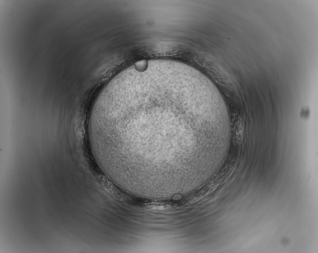 X0000103410746200810031245