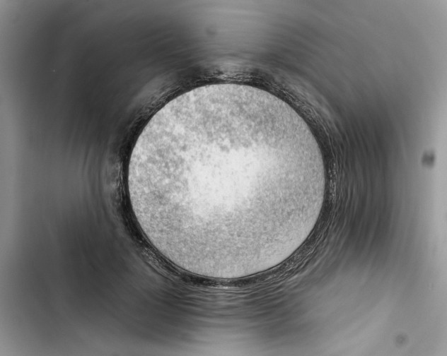 X0000103410748200810031245